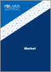 表紙：アラントインの世界市場 - シェア、規模、動向、業界分析：業界別、原料別、用途別、地域別、セグメント予測（2022年～2030年）