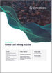 表紙：石炭鉱業市場分析（2021年～2026年）：埋蔵量、生産量、操業中、開発中、探鉱資産、需要促進要因、主要企業、予測など