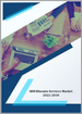 表紙：IBM Bluemixサービスの世界市場：成長、将来の展望、競合分析 - 2022年～2030年
