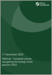 表紙：ウェビナー - 欧州の電力市場：エネルギー危機を乗り切るために（2022年秋）
