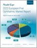 表紙：欧州主要5カ国の眼科市場（2022年）：2021年～2027年の分析