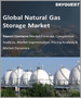 表紙：天然ガス貯蔵の世界市場：タイプ別、地域別、予測分析（2022年～2028年）