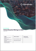 表紙：ボーキサイト鉱業の世界市場 (2022-2026年)：埋蔵量・生産量・資産・プロジェクト・需要促進要因・主要企業・予測