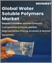 表紙：水溶性ポリマーの世界市場 (2022-2028年)：原料 (合成 (ポリアクリルアミド・PVA))・用途 (食品加工・水処理)別の規模・シェア・成長分析・予測