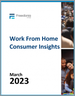 表紙：米国の在宅勤務：Consumer Insights