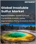 表紙：不溶性硫黄の世界市場 - 市場規模、シェア、成長分析：グレードタイプ別、用途別、業界予測（2023年～2030年）