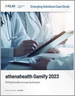 表紙：athenahealth Gamify：新規ソリューションのケーススタディ (2023年)