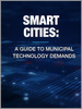 表紙：スマートシティ：自治体のテクノロジー需要の手引き