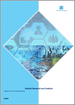 表紙：デジタル湿度センサーの世界市場：2023-2030年