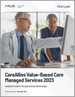 表紙：CareAlliesの価値ベース医療向けマネージドサービス：第一印象 (2023年)