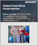 表紙：クリアブライン液の世界市場 (2023-2030年)：製品タイプ・エンドユーザー別の規模・シェア・成長分析・予測