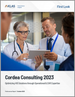 表紙：Cordea Consulting (2023年)：運用とEHRの専門知識によるHISソリューションの最適化