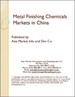 表紙：中国の金属表面処理剤市場