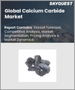 表紙：炭化カルシウムの世界市場：市場規模、シェア、成長分析、用途別、エンドユーザー別 - 産業予測、2023-2030年