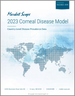 表紙：角膜疾患モデル（2023年）：国レベルの疾患有病率データ