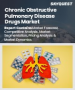 表紙：慢性閉塞性肺疾患（COPD）治療薬市場規模、シェア、成長分析：COPDタイプ別、薬剤クラス別、投与経路別、患者層別、流通経路別、地域別－業界予測（2026-2033年）