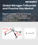 表紙：三フッ化窒素およびフッ素ガス市場規模、シェア、成長分析：タイプ別、三フッ化窒素用途別、フッ素ガス用途別、地域別－業界予測 2026-2033年