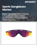 表紙：スポーツサングラス市場規模、シェア、成長分析：タイプ別、用途別、エンドユーザー別、流通チャネル別、地域別－業界予測 2026-2033年