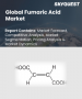 表紙：フマル酸市場規模、シェア、および成長分析：タイプ別、用途別、最終用途別、抽出方法別、地域別－業界予測2026-2033年