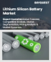 表紙：リチウムシリコン電池市場規模、シェア、成長分析：材料別、技術別、容量別、用途別、地域別－業界予測 2026-2033年