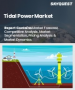 表紙：潮力発電市場の規模、シェア、成長分析：方法別、容量別、設置深度別、用途別、地域別－業界予測 2026-2033年