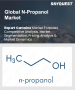 表紙：N-プロパノール市場規模、シェア、および成長分析：用途別、最終用途別、地域別- 業界予測2026-2033年