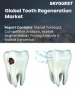 表紙：歯再生市場の規模、シェア、成長分析：タイプ別、人口統計別、最終用途別、地域別－業界予測2026-2033年