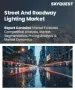 表紙：街路灯・道路照明市場規模、シェア、成長分析：照明タイプ別、設置タイプ別、電源別、制御タイプ別、エンドユーザー別、地域別－業界予測2026-2033年
