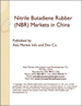 表紙：中国のニトリルブタジエンゴム(NBR)市場
