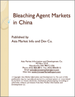 表紙：中国の漂白剤市場