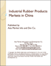 表紙：中国における工業用ゴム製品市場