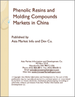 表紙：中国のフェノール樹脂・成形材料市場
