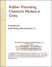 表紙：中国のゴム加工用化学品市場