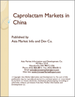 表紙：カプロラクタムの中国市場