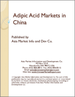 表紙：アジピン酸の中国市場