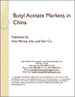 表紙：酢酸ブチルの中国市場