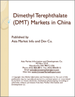 表紙：テレフタル酸ジメチル（DMT）の中国市場