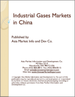 表紙：中国の工業用ガス市場