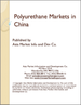 表紙：中国のポリウレタン市場