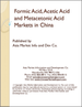 表紙：ギ酸・酢酸・メタセトン酸の中国市場