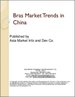 表紙：ブラジャー市場の動向：中国