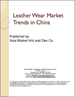 表紙：レザーウェア市場の動向：中国