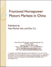 表紙：分数馬力モーター - 中国市場