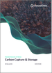 表紙：二酸化炭素回収・貯留 (CCS) ：テーマ別調査