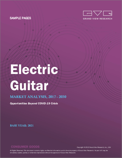 表紙：エレキギターの世界市場：製品別（ホロウボディ、ソリッドボディ）、流通チャネル別（オフライン、オンライン）、タイプ別（リード/リズム、ベース）、地域別の市場規模、シェアおよび動向分析、セグメント別予測（2022年～2030年）