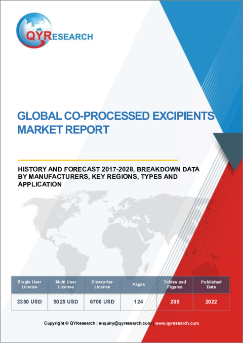 表紙：コプロセス添加剤の世界市場、実績と予測（2017年～2028年）