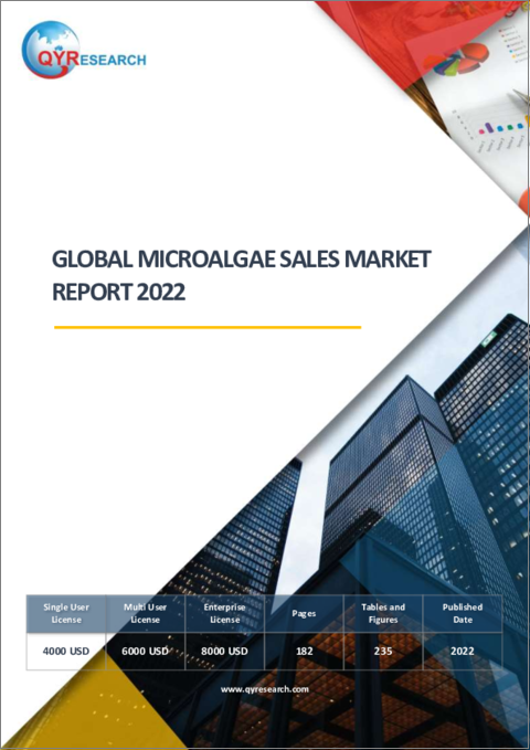 表紙：微細藻類の世界販売市場（2022年）