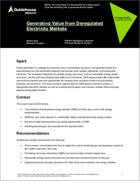 表紙：規制緩和された電力市場からの価値創出