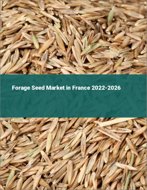 表紙：飼料用種子のフランス市場：2022年～2026年