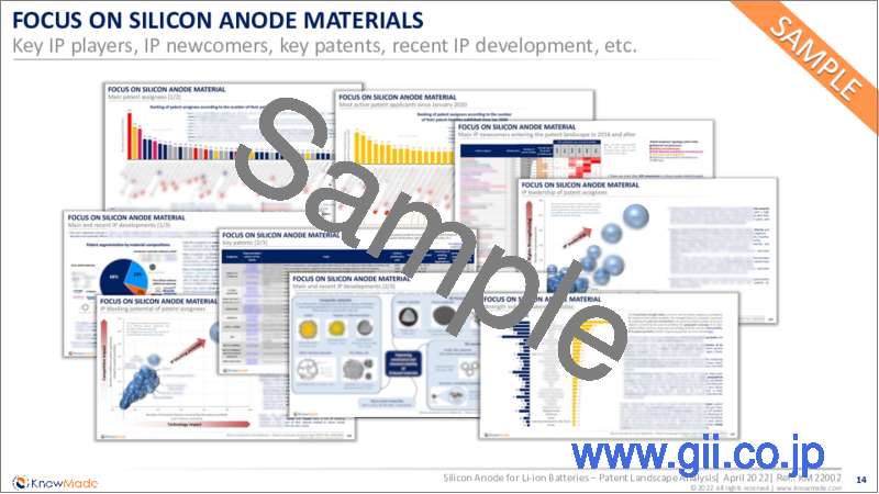 サンプル2：リチウムイオン電池向けシリコンアノードの特許情勢分析（2022年）